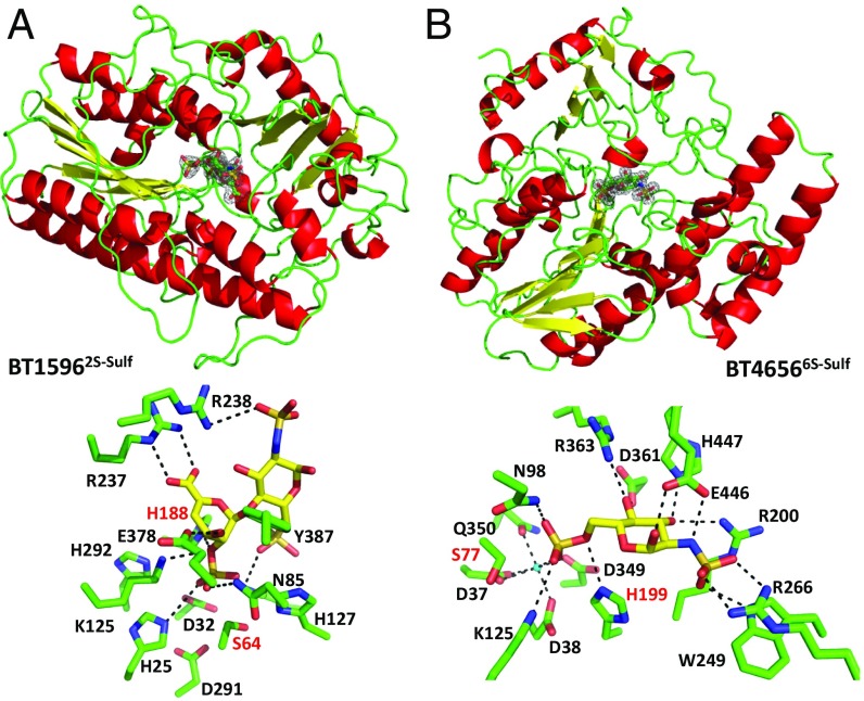 Fig. 4.