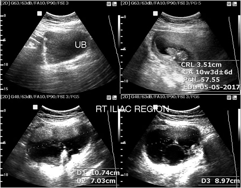 Fig. 6