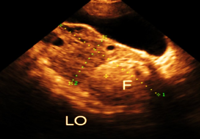 Fig. 8