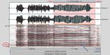 Breakdown of crowing vocalisation measurements.