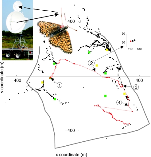 Fig. 1.