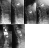 Fig. 5a, b