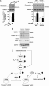 Fig 13