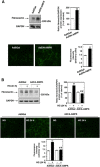 Fig 10