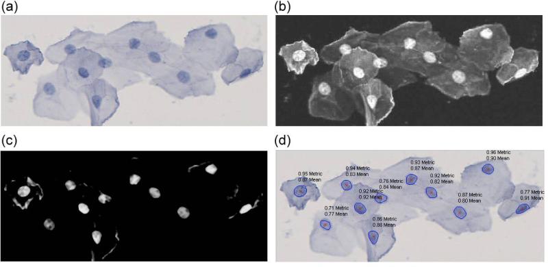 Figure 4