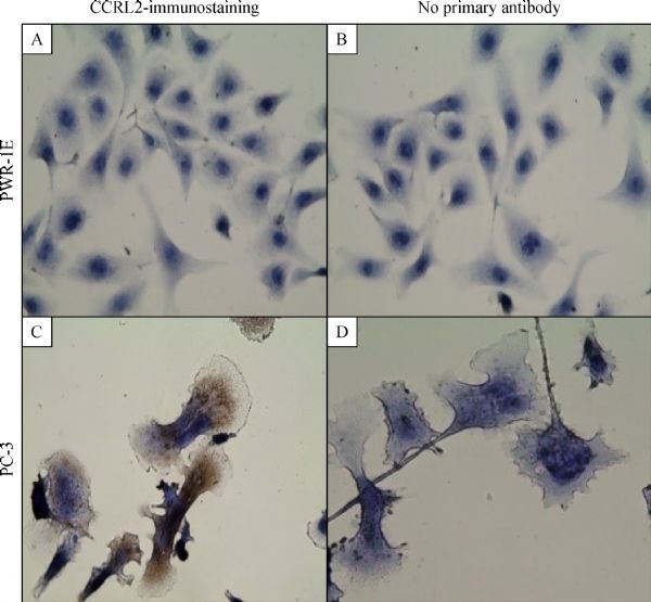 Fig.1