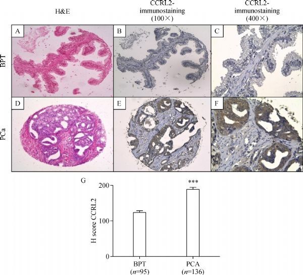 Fig.2