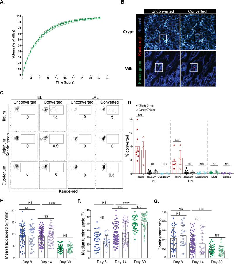 Figure 2)