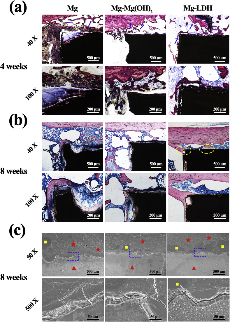 Fig. 11