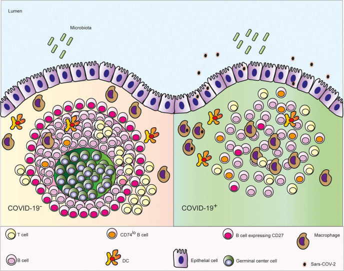 Figure 6