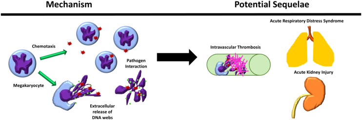 Figure 6