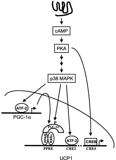 FIG. 7.