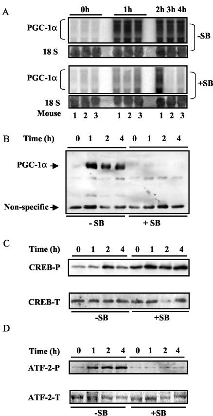 FIG. 5.