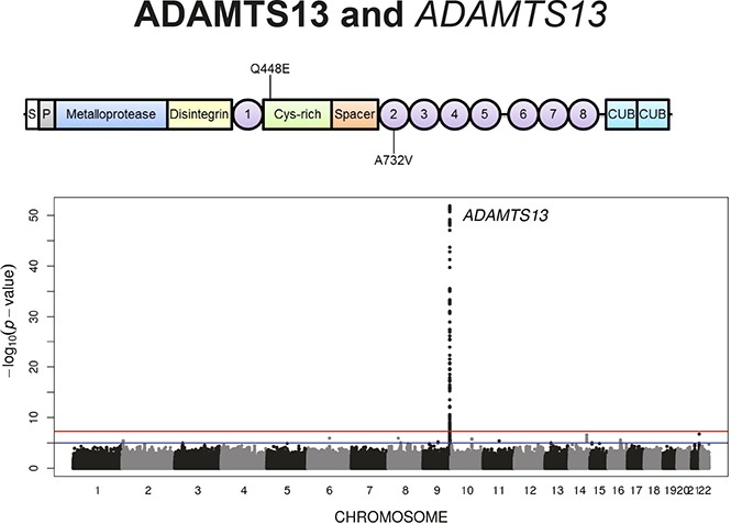 graphic file with name advances005629absf1.jpg