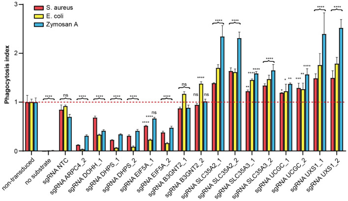 Figure 4