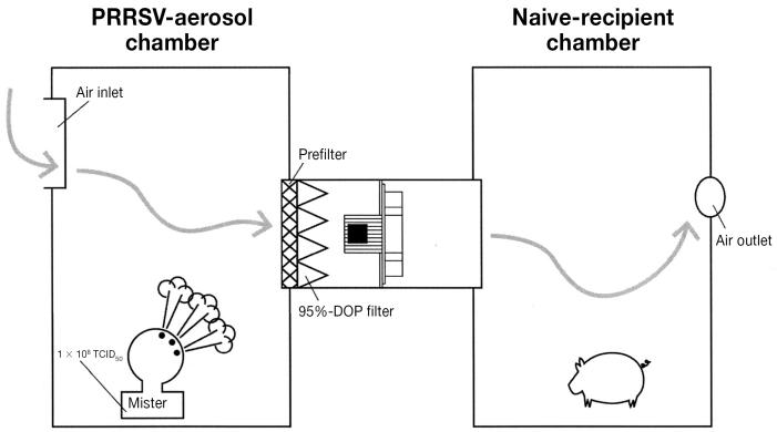 Figure 1D