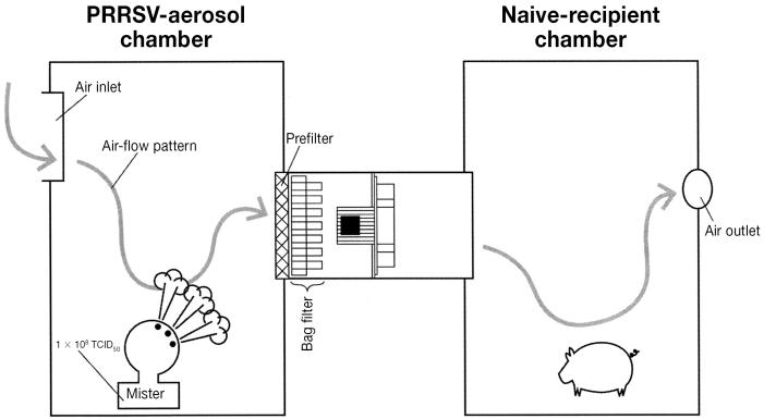 Figure 1B