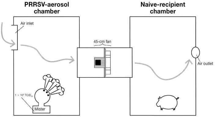 Figure 1E