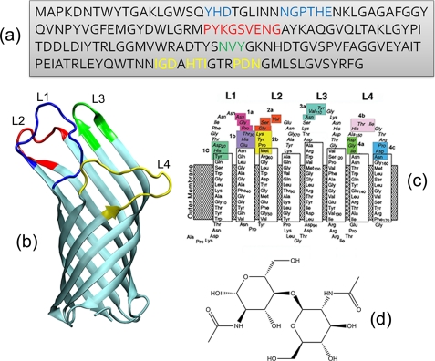 FIGURE 1.