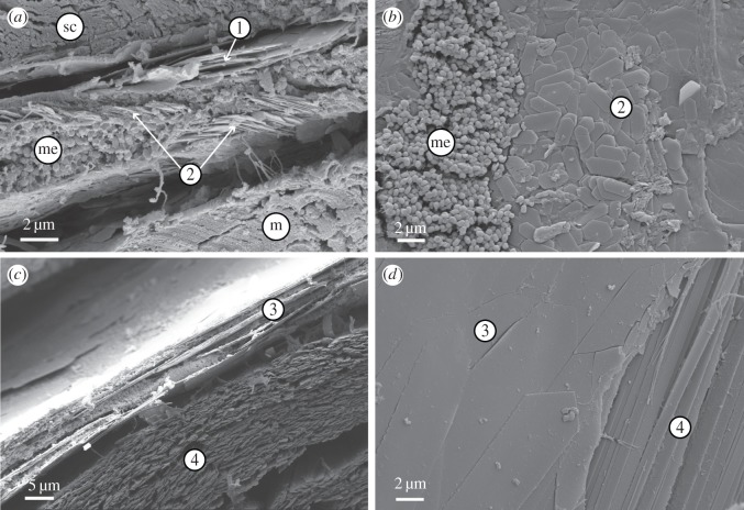 Figure 2.