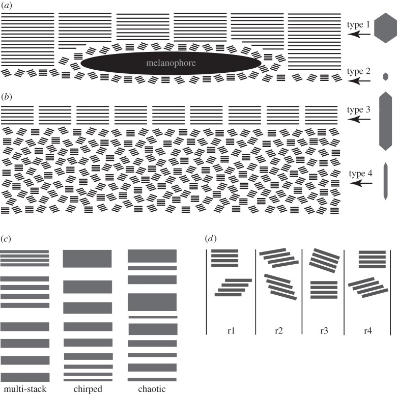 Figure 5.