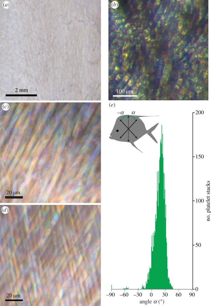 Figure 3.