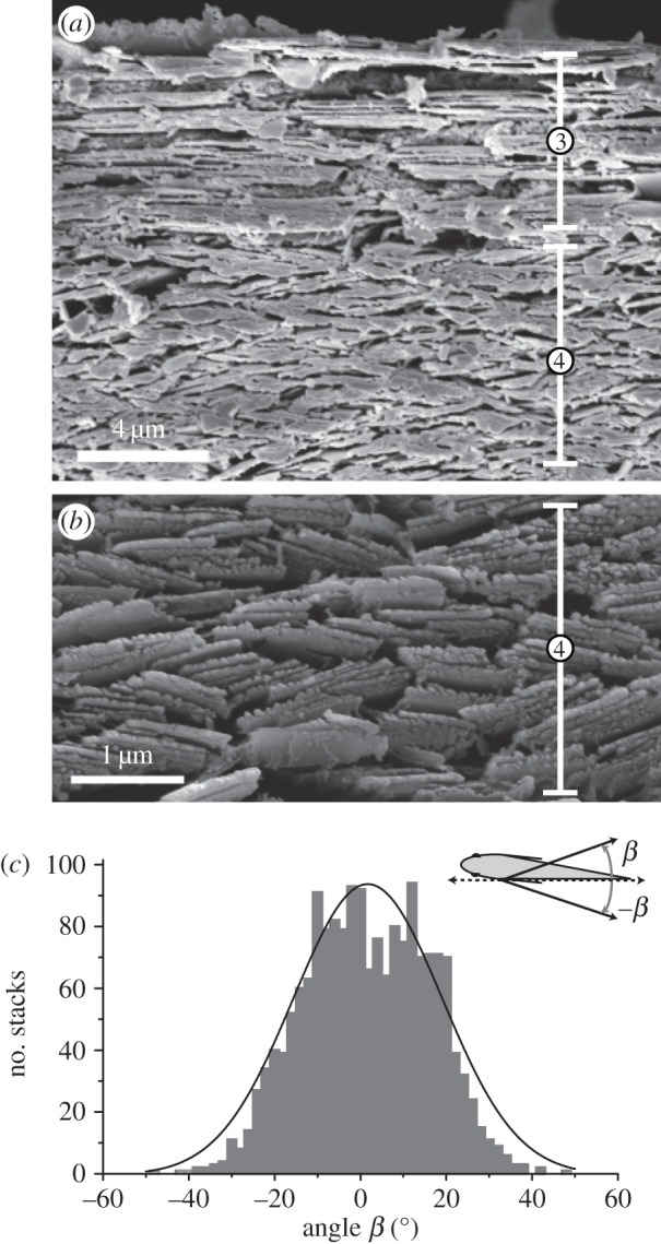 Figure 4.