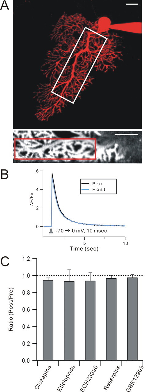 Figure 6.