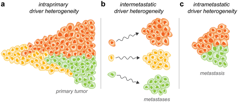 Fig. 2: