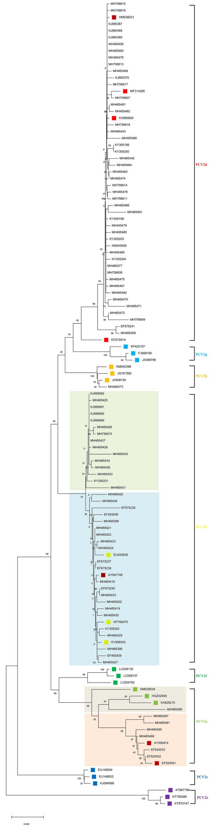 FIGURE 2