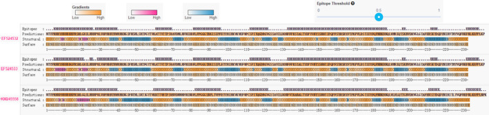 FIGURE 4