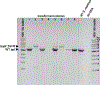 Extended Data Fig. 9 |