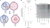 Fig. 3 |