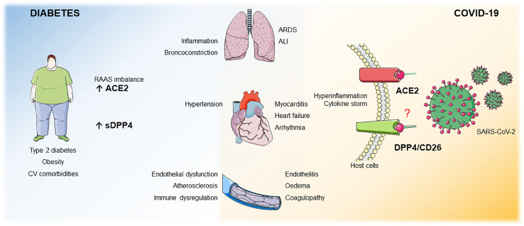 Graphical Abstract