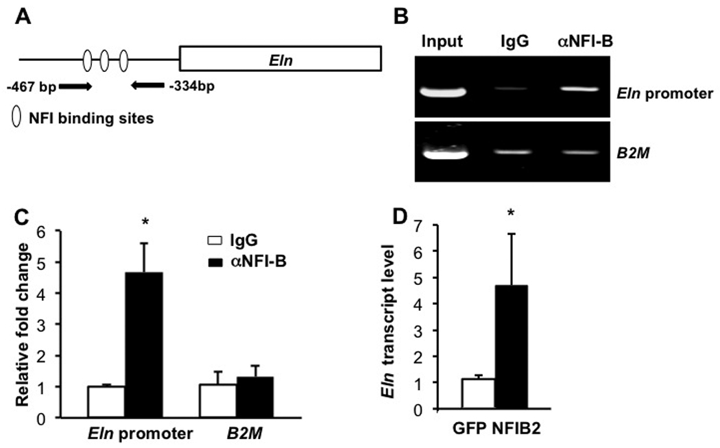 Fig. 9