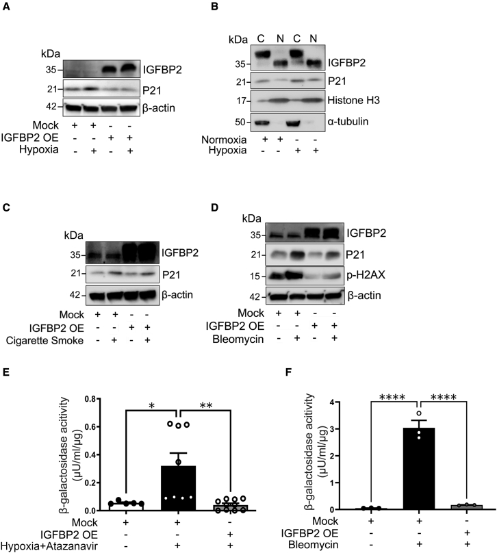 Figure 4