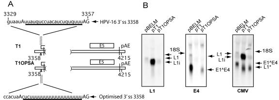 FIG. 5.