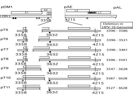 FIG. 6.