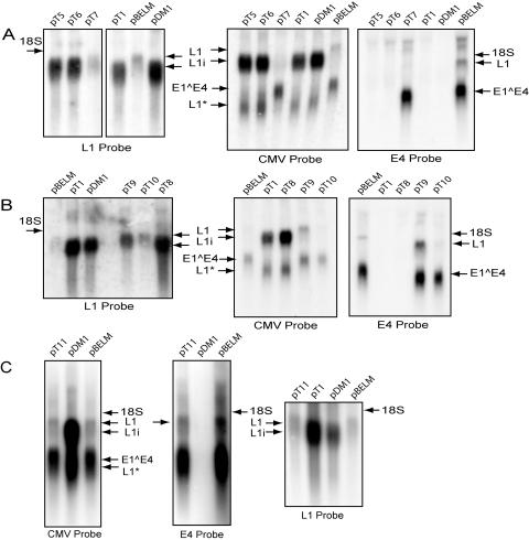 FIG. 7.