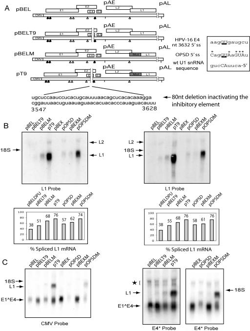 FIG. 9.