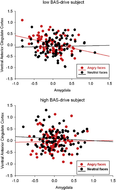 Supplementary Figure 3