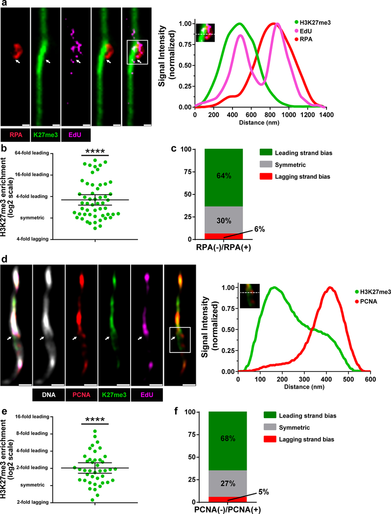 Figure 5: