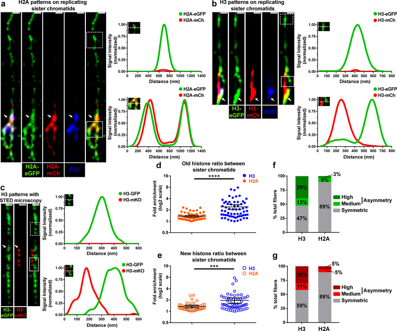 Figure 4: