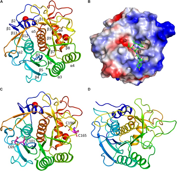 FIGURE 3