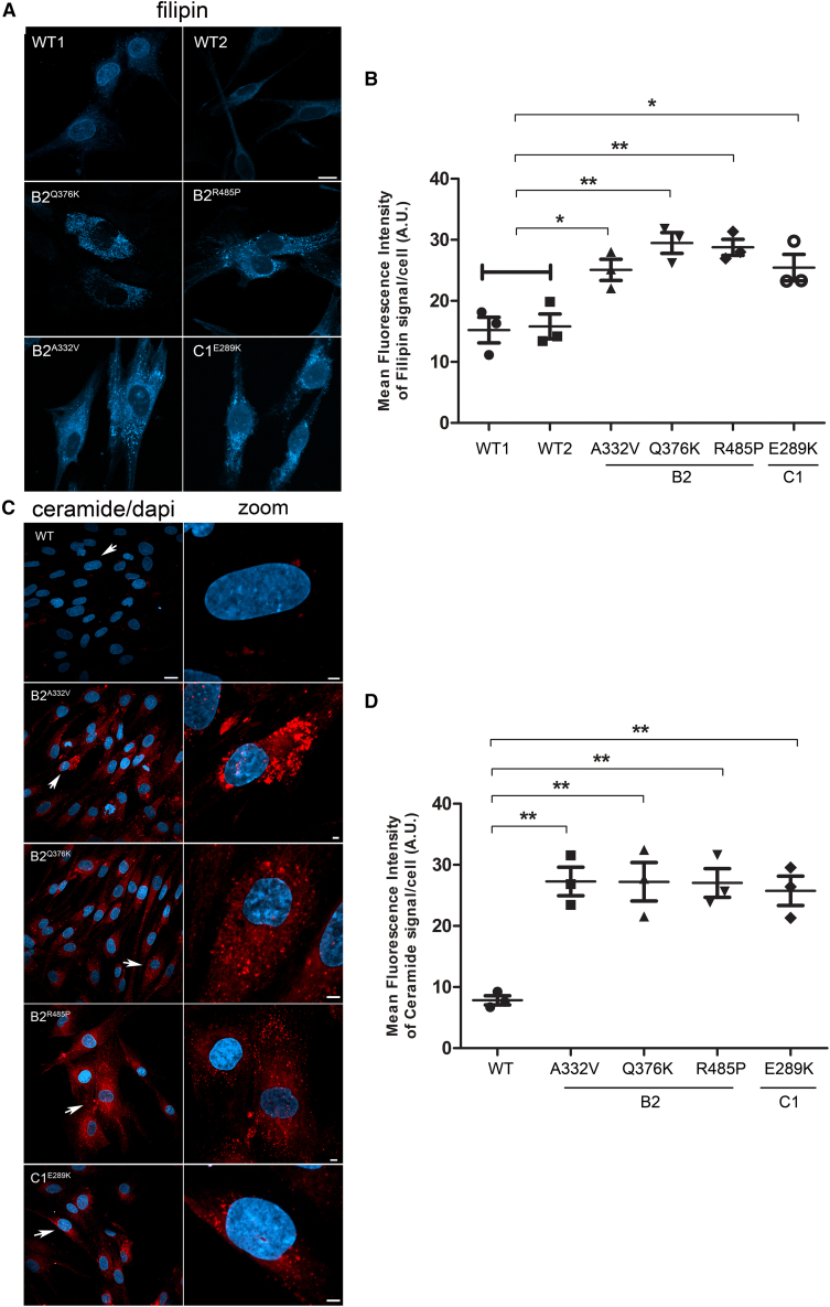 Figure 3