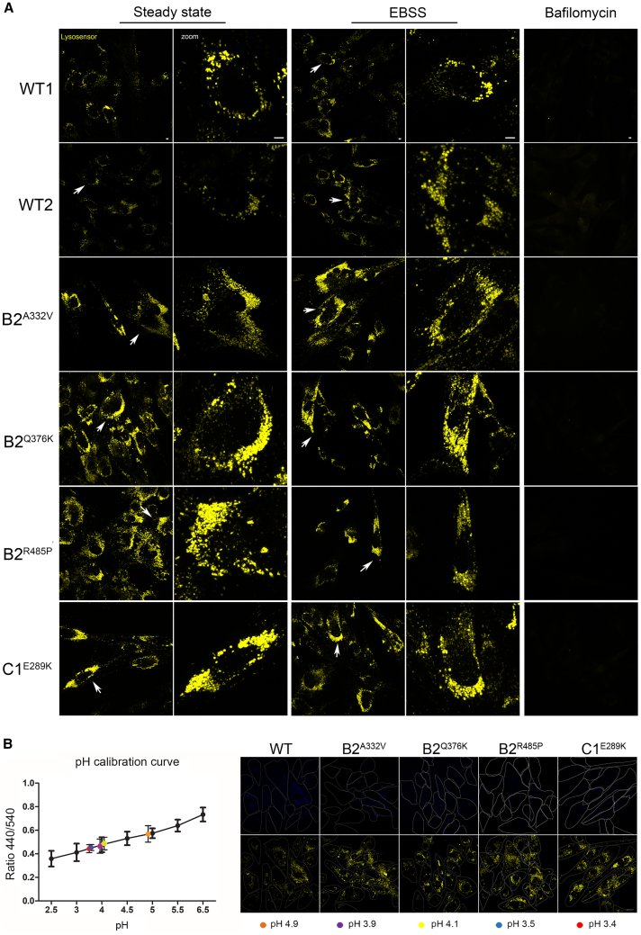 Figure 4