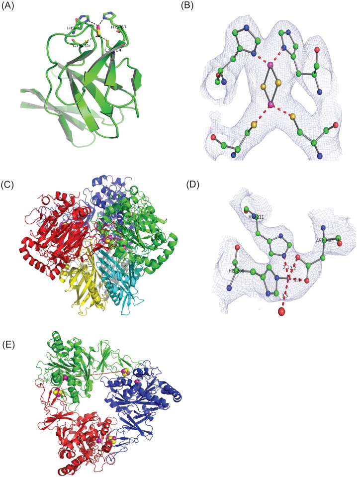 Fig 1