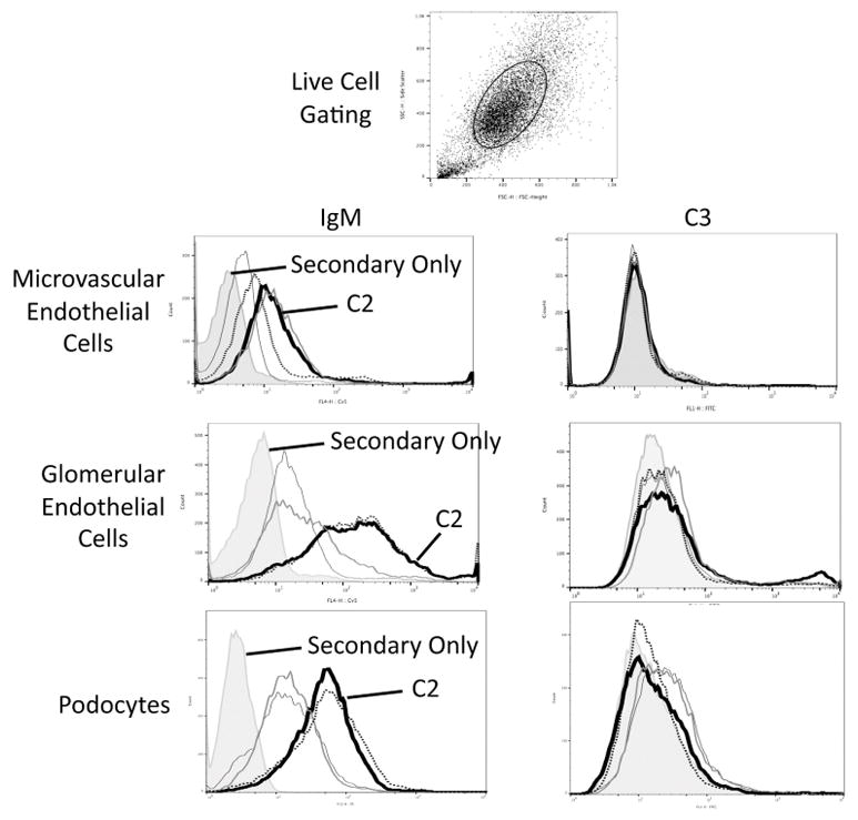 Figure 6