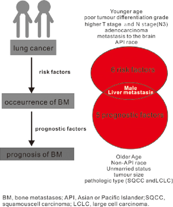 Image, graphical abstract