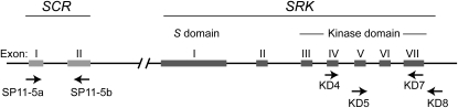 Figure 2.—